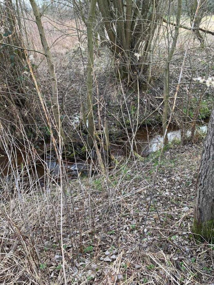 Działka budowlana Skoroszów, ul. Leśna. Zdjęcie 4