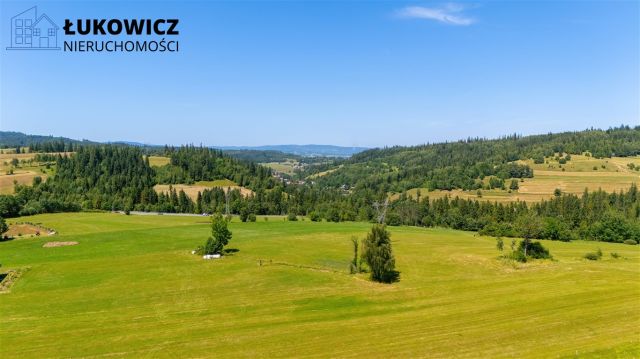 Działka leśna Pieniążkowice. Zdjęcie 4