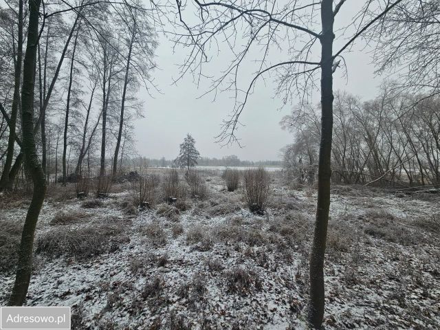 Działka rolno-budowlana Kurów. Zdjęcie 1