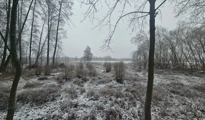 Działka rolno-budowlana Kurów