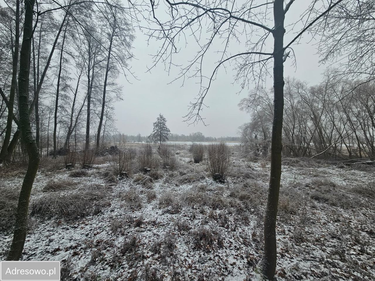 Działka rolno-budowlana Kurów. Zdjęcie 1