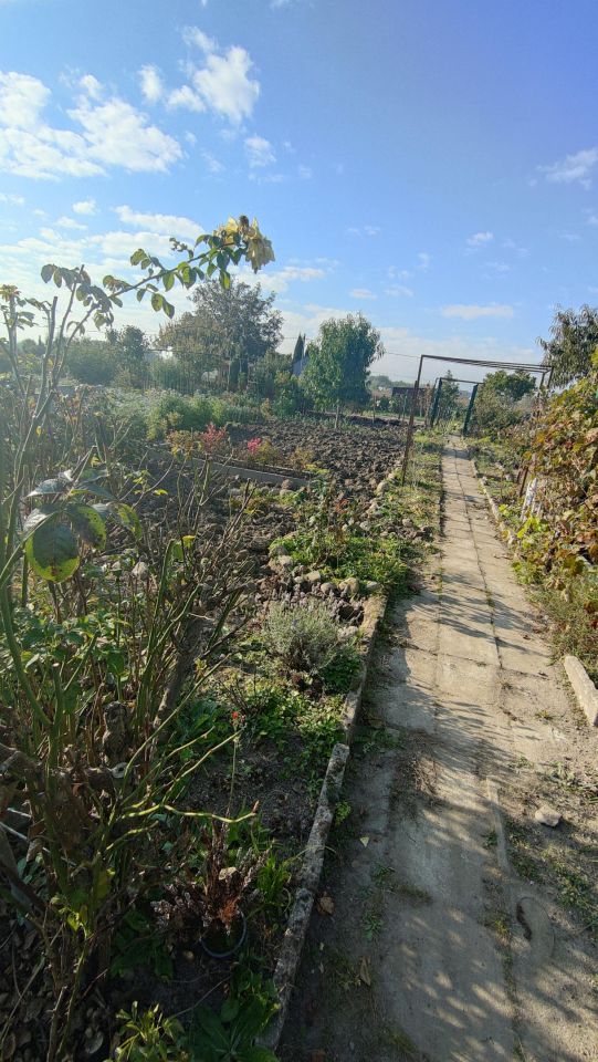 Działka rod Gurostwo. Zdjęcie 4