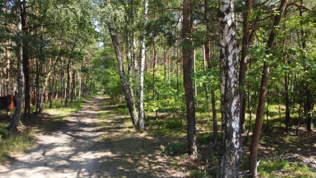 Działka leśna Warszawa Wesoła, ul. Wawerska. Zdjęcie 12