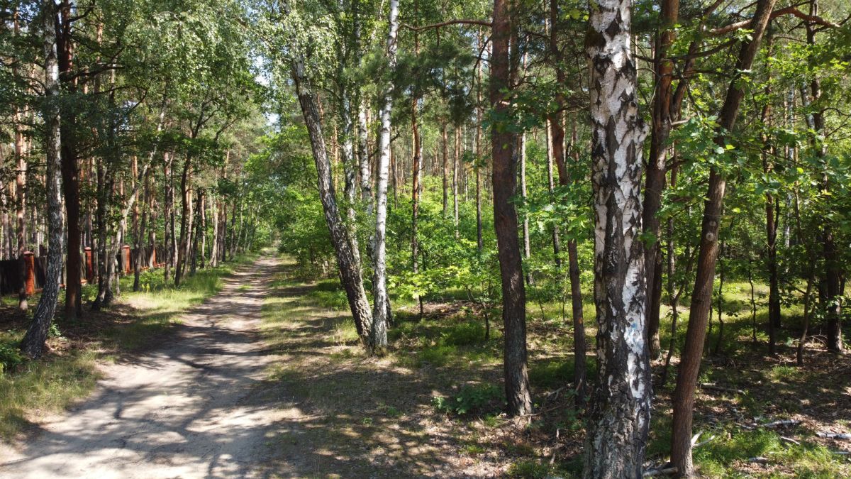 Działka leśna Warszawa Wesoła, ul. Wawerska. Zdjęcie 12