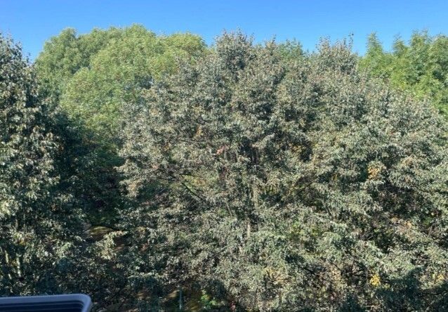 Mieszkanie 3-pokojowe Warszawa Ochota, ul. Żwirki i Wigury. Zdjęcie 10