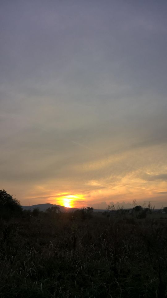 Działka budowlana Stary Wielisław. Zdjęcie 2