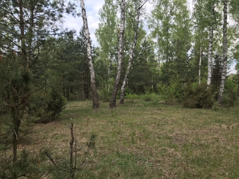 Działka inwestycyjna Stare Załubice. Zdjęcie 2