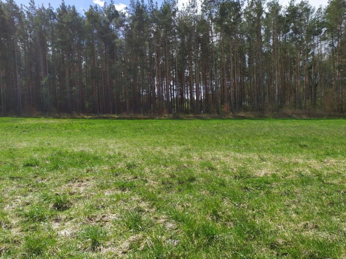 Działka budowlana Jałowiec, ul. Łąki. Zdjęcie 18