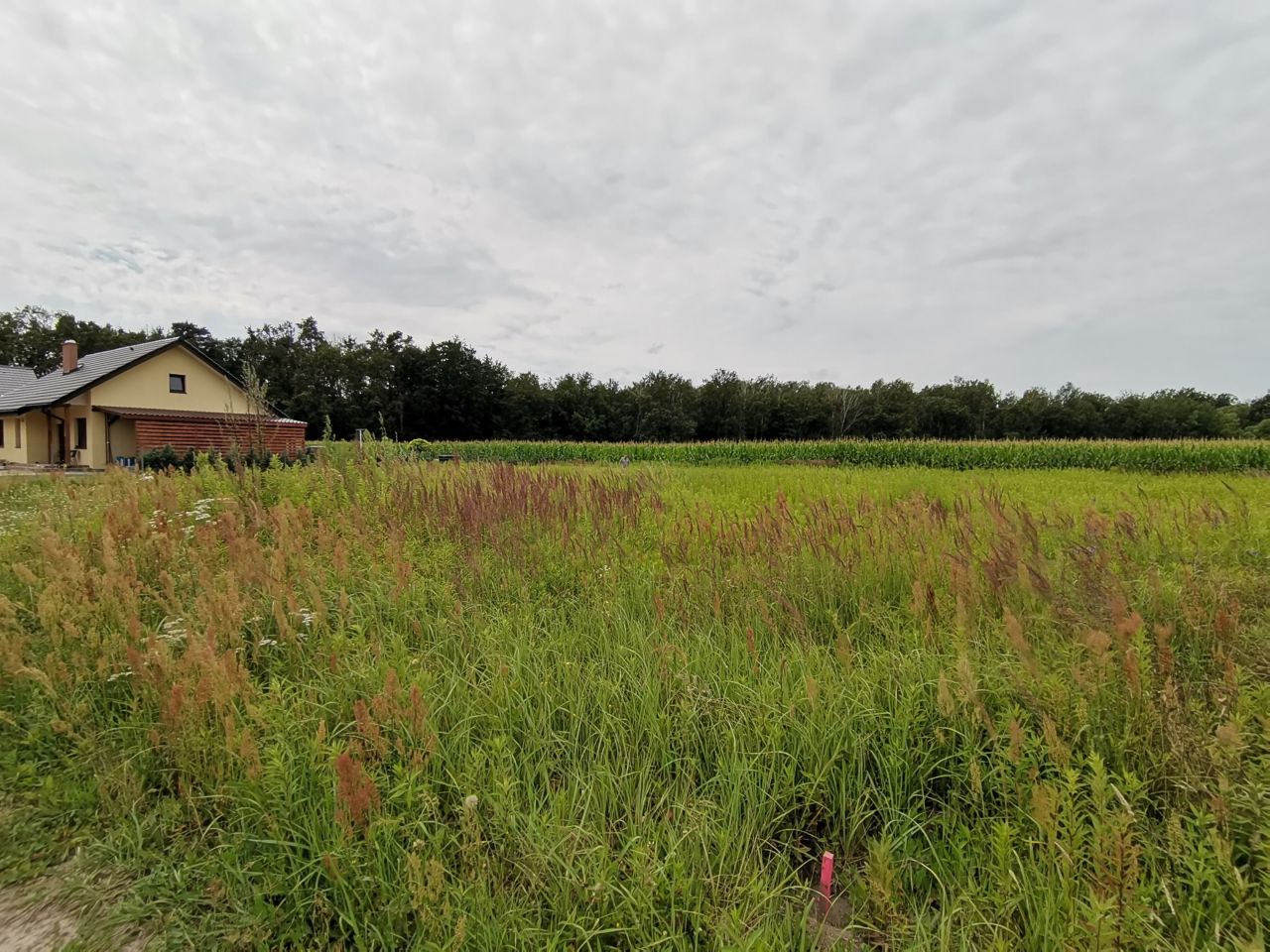 Działka budowlana Krzeczyn