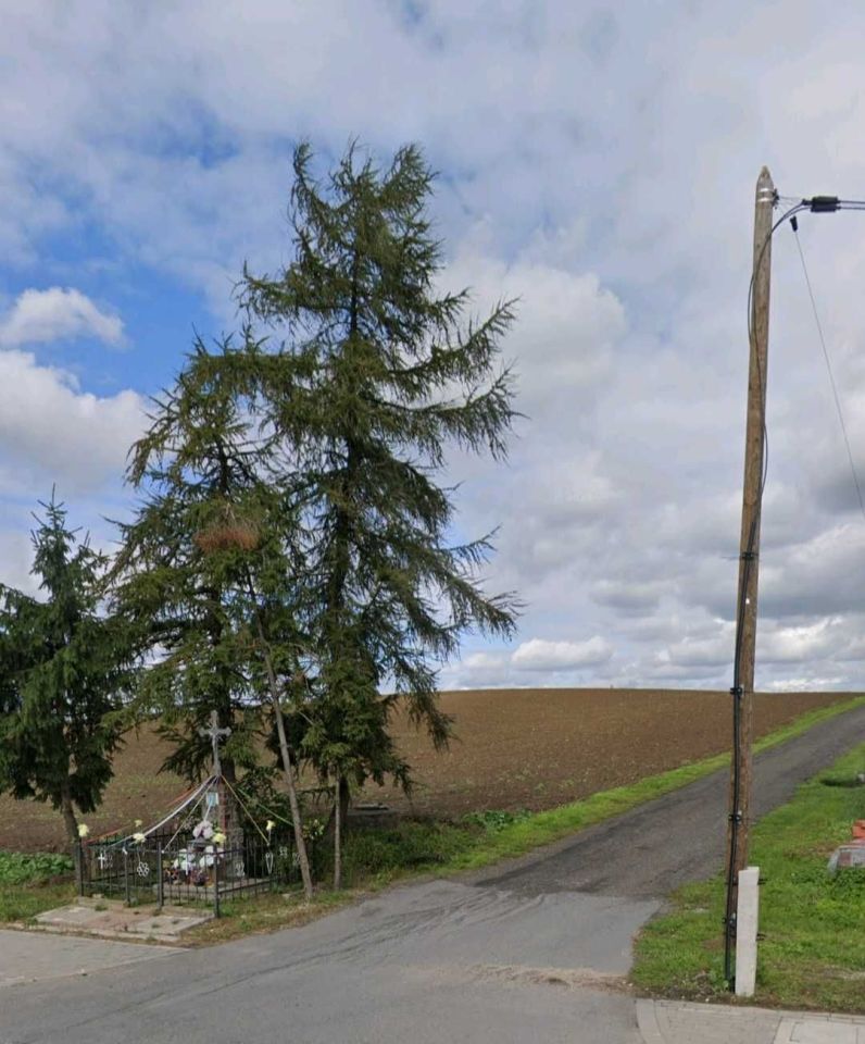 Działka rolna Cepno. Zdjęcie 7