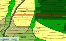 Działka leśna Doły. Zdjęcie 2