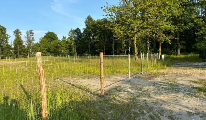 Działka budowlana Wąsosz