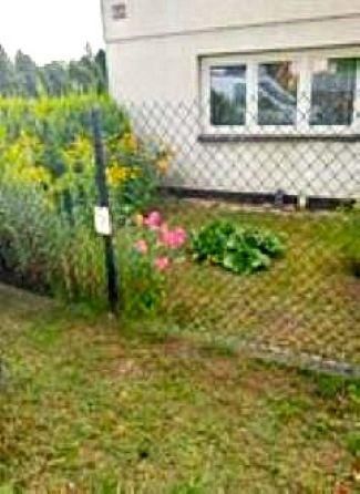 dom wolnostojący, 7 pokoi Pabianice Centrum, Krakowska. Zdjęcie 3