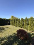 Działka rod Gniezno, ul. Powstańców Wlkp.. Zdjęcie 2
