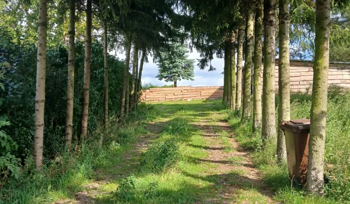 siedlisko, 3 pokoje Szonowo Szlacheckie