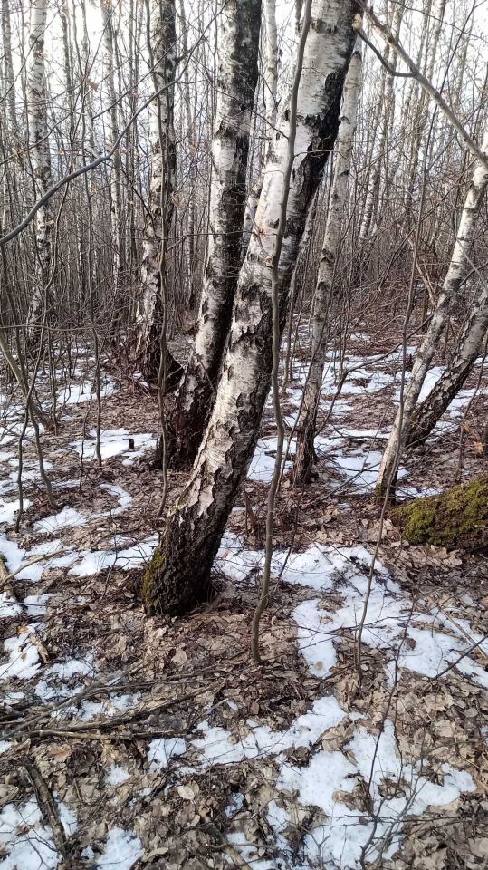 Działka rolna Łysa Góra