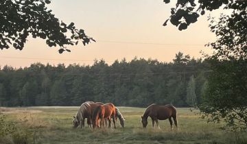Działka budowlana Basinów