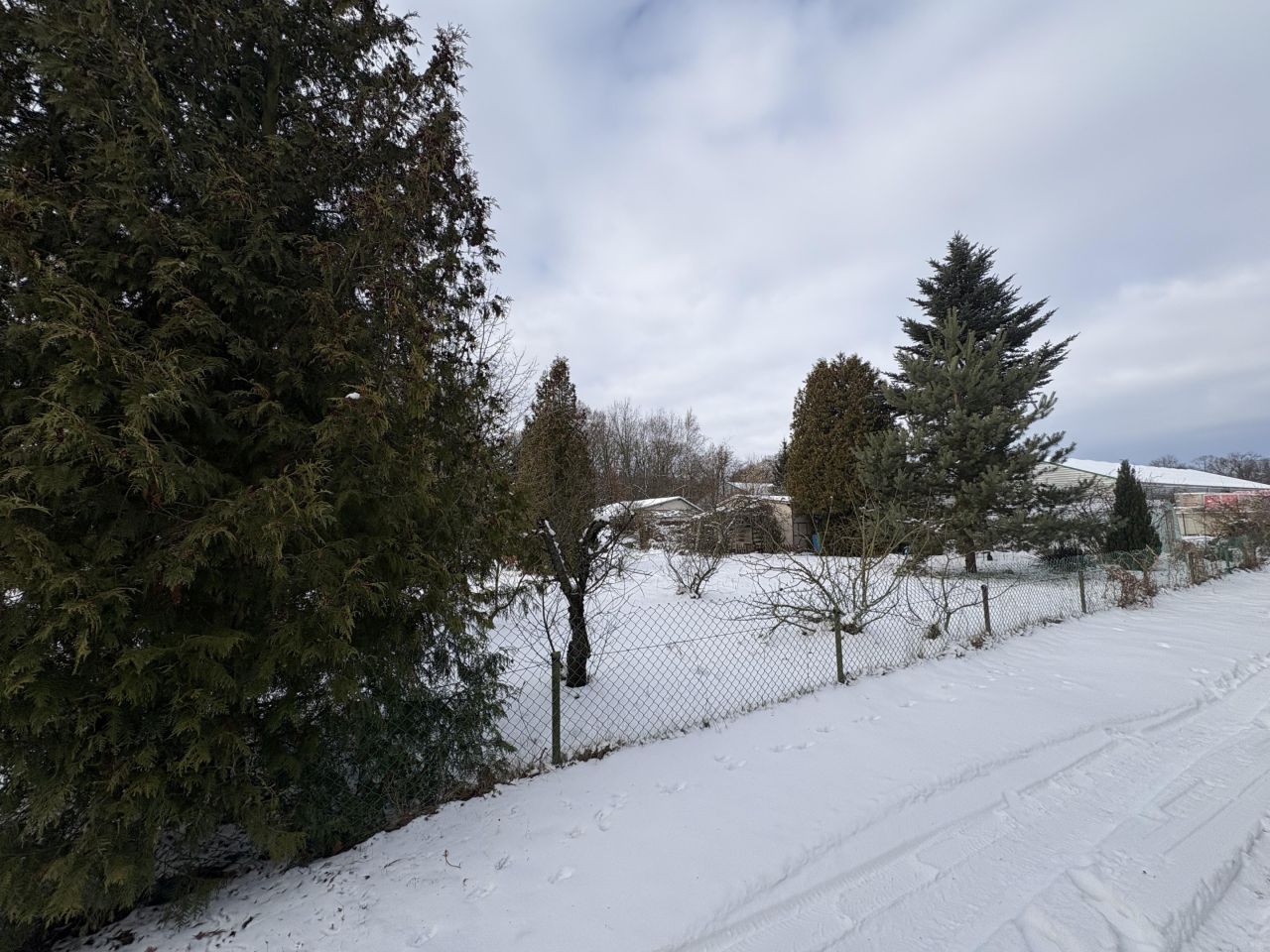 Działka rod Sulechów, ul. Gajowa. Zdjęcie 20