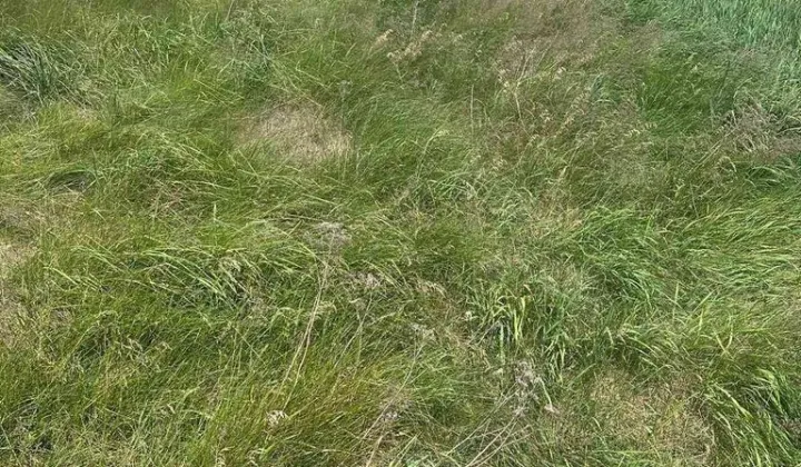 Działka budowlana Murzynowo Leśne, ul. Brodowska