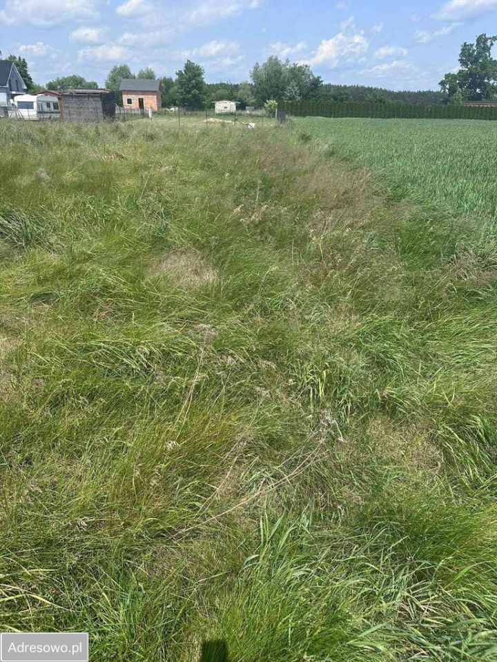 Działka budowlana Murzynowo Leśne, ul. Brodowska. Zdjęcie 1