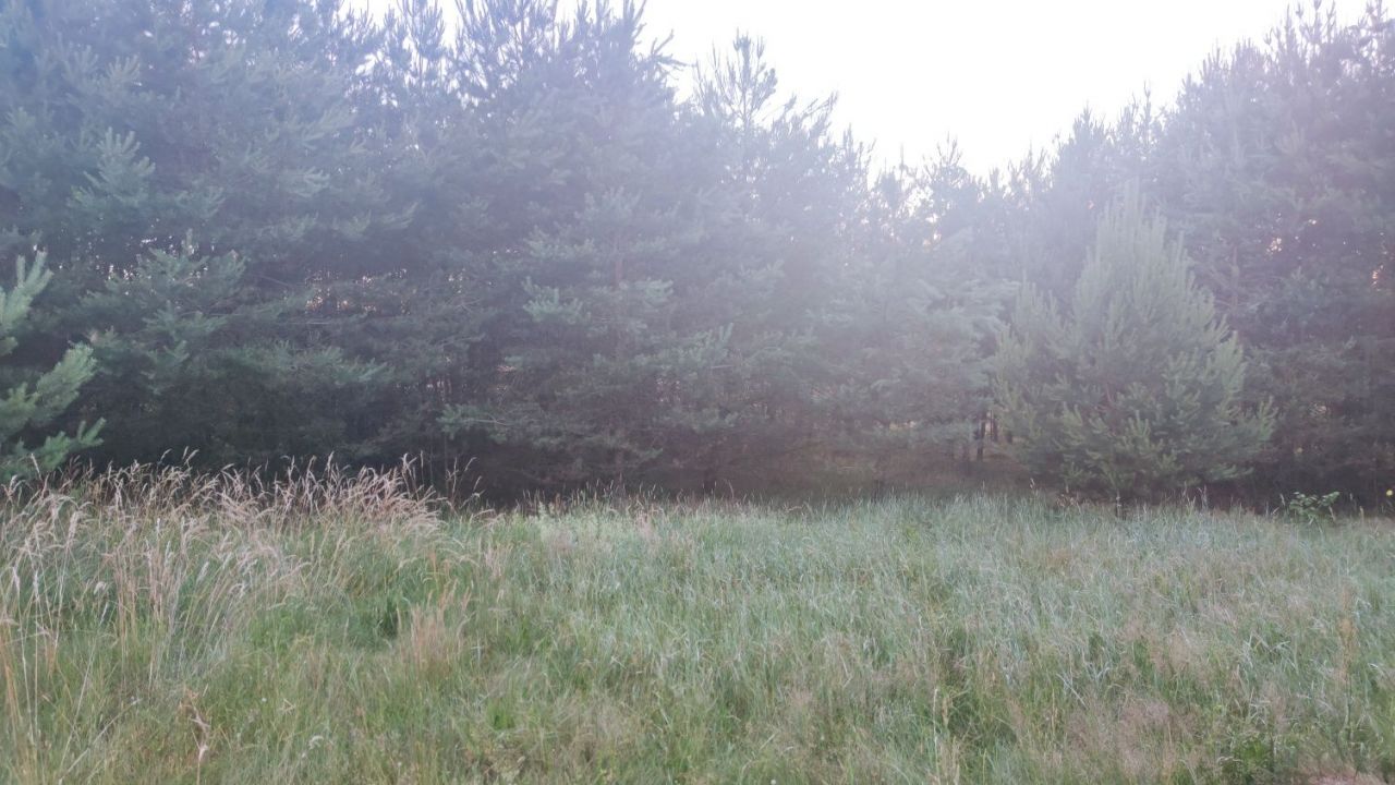 Działka rekreacyjna Nowa Sikorska Huta. Zdjęcie 5