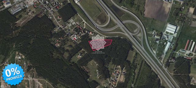 Działka leśna Kuczek. Zdjęcie 3