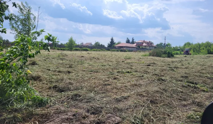 Działka rolno-budowlana Szczęsna, ul. Porzeczkowa