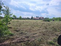 Działka rolno-budowlana Szczęsna, ul. Porzeczkowa