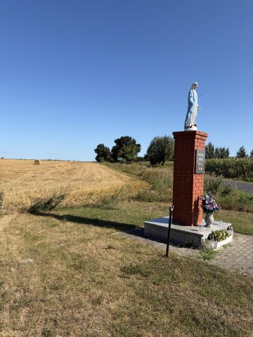 Działka rolna Mełpin. Zdjęcie 3