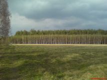 Działka rolna Zelówek. Zdjęcie 1