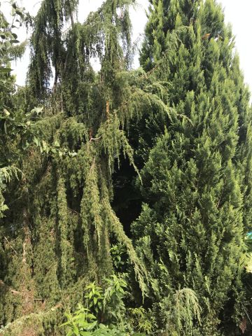 Działka rekreacyjna Toruń Kluczyki , ul. Przy Grobli. Zdjęcie 5