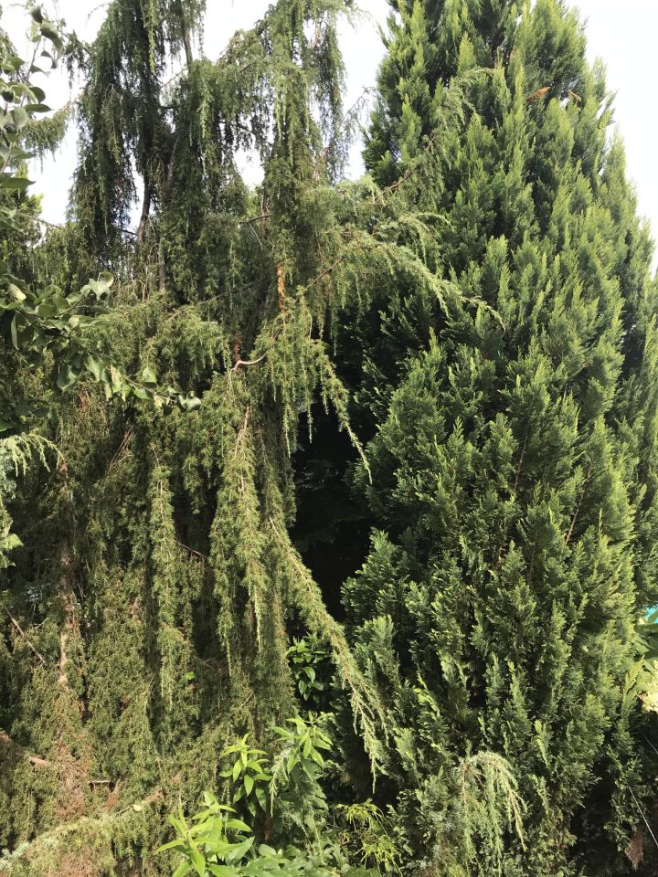 Działka rekreacyjna Toruń Kluczyki , ul. Przy Grobli. Zdjęcie 5