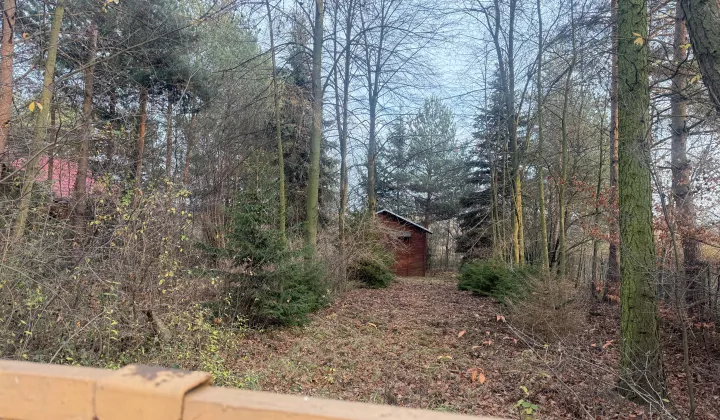 Działka rolna Łódź Łagiewniki, ul. Żółwiowa