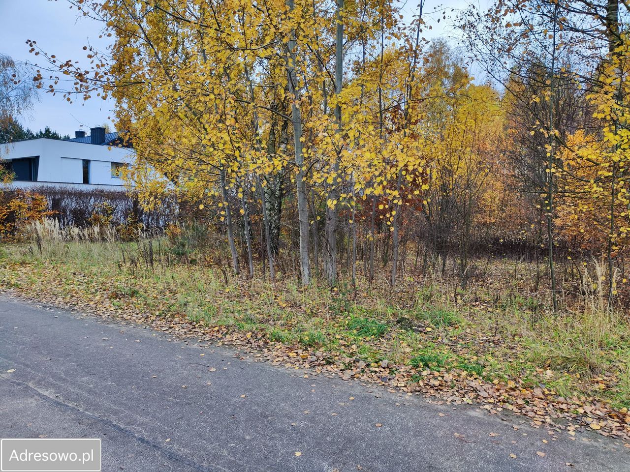 Działka budowlana Wierzchowisko, ul. Dębowa. Zdjęcie 2
