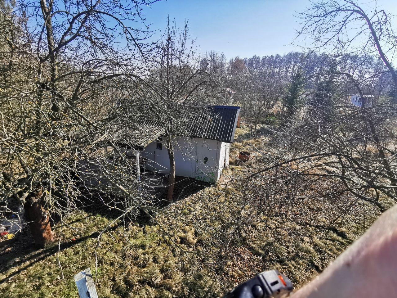 Działka rod Brzeg. Zdjęcie 6