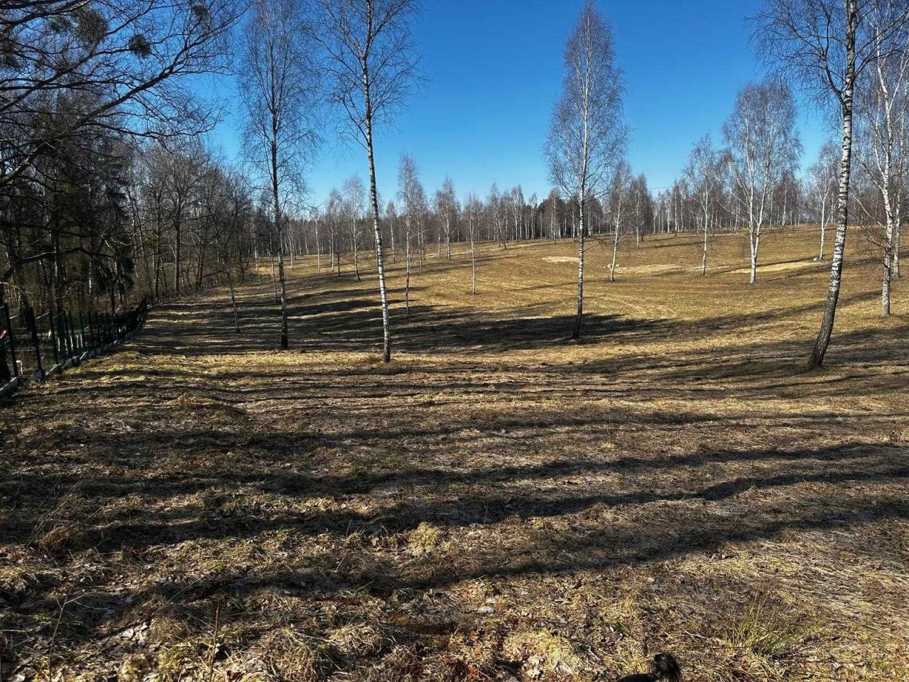 Działka rekreacyjna Rogowo. Zdjęcie 3