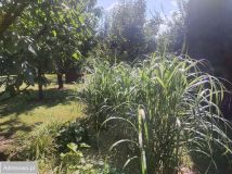 dom wolnostojący, 4 pokoje Księginice. Zdjęcie 2