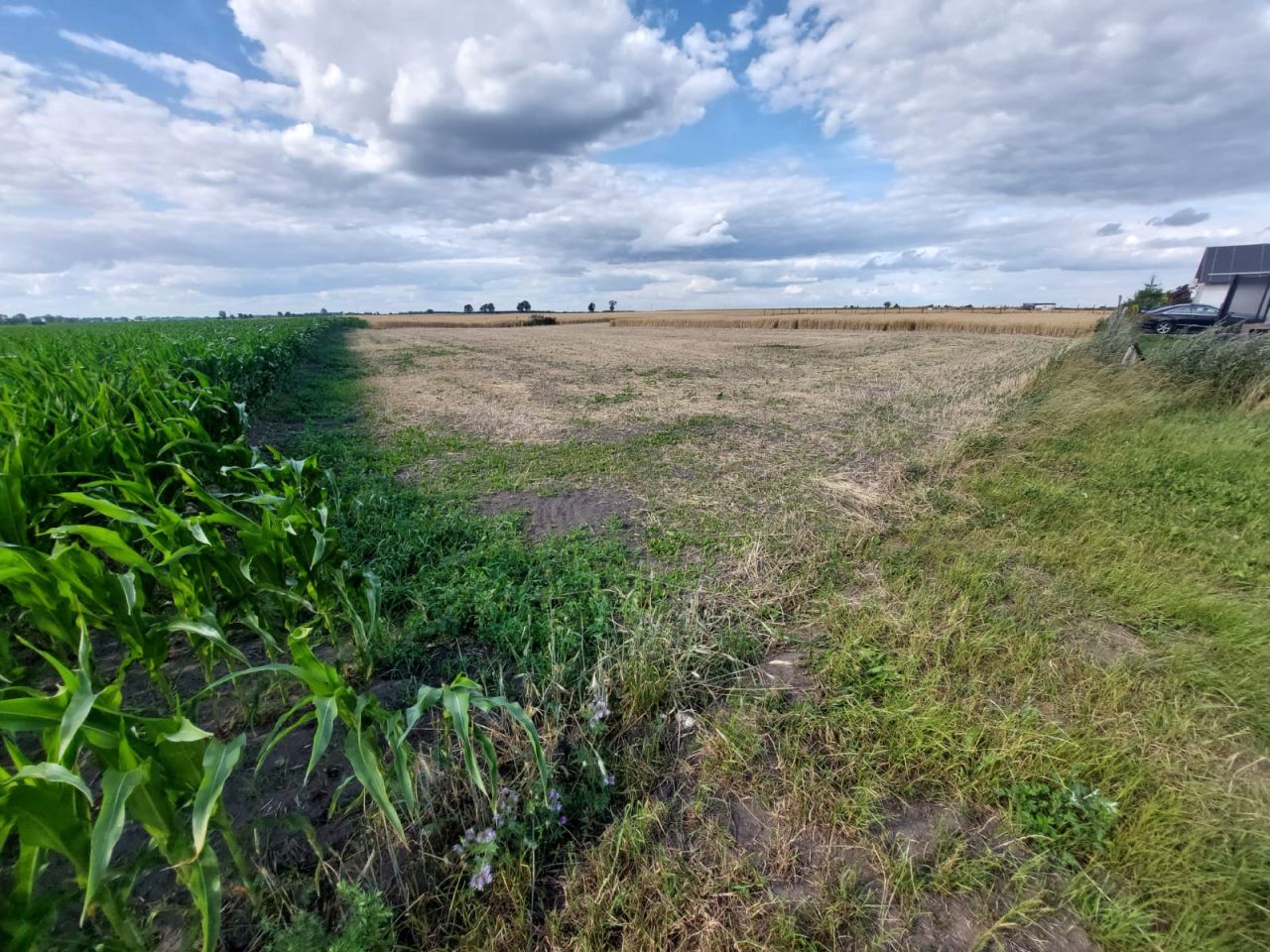 dom wolnostojący, 4 pokoje Goślinowo, -. Zdjęcie 11