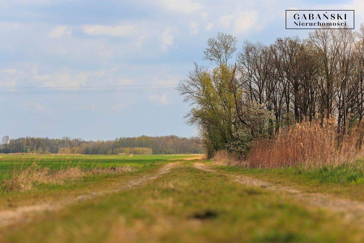 Działka budowlana Nieczajna Górna. Zdjęcie 11