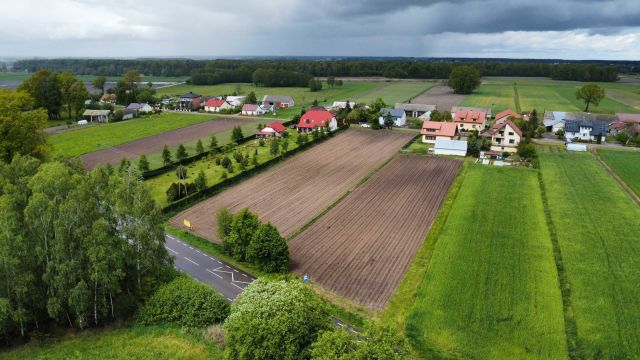 Działka budowlana Nowy Świat. Zdjęcie 1