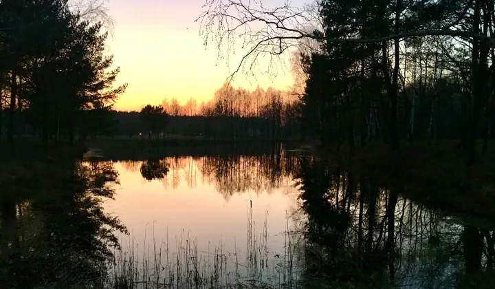 Działka budowlana Janinów, ul. Kolumbijska