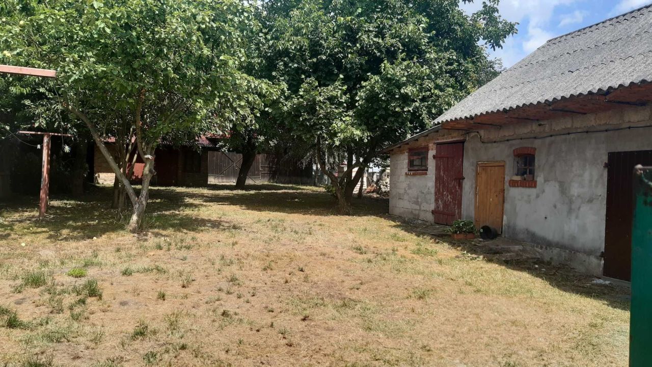 dom wolnostojący, 3 pokoje Mojsławice-Kolonia. Zdjęcie 4