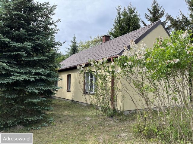 Działka rolno-budowlana Łasice. Zdjęcie 1