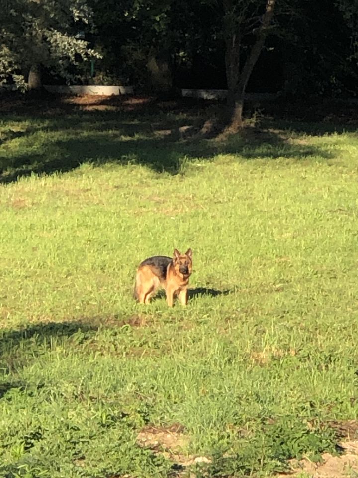 Działka rolno-budowlana Drawsko Pomorskie Okrze, ul. Stefana Okrzei. Zdjęcie 4