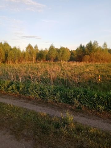 Działka budowlana Ploski. Zdjęcie 1