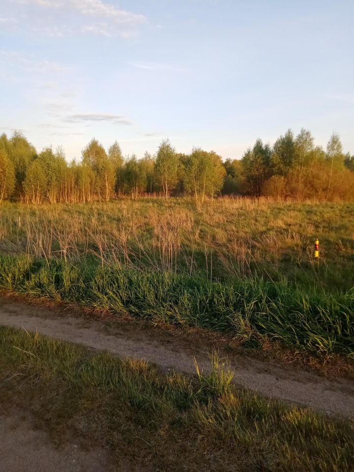 Działka budowlana Ploski. Zdjęcie 10