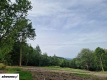 Działka rolno-budowlana Gruszków. Zdjęcie 2