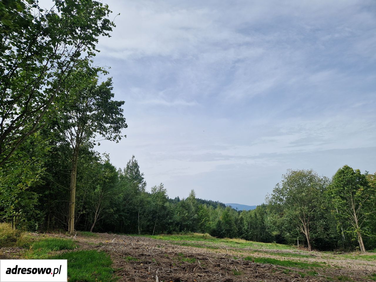 Działka rolno-budowlana Gruszków. Zdjęcie 3