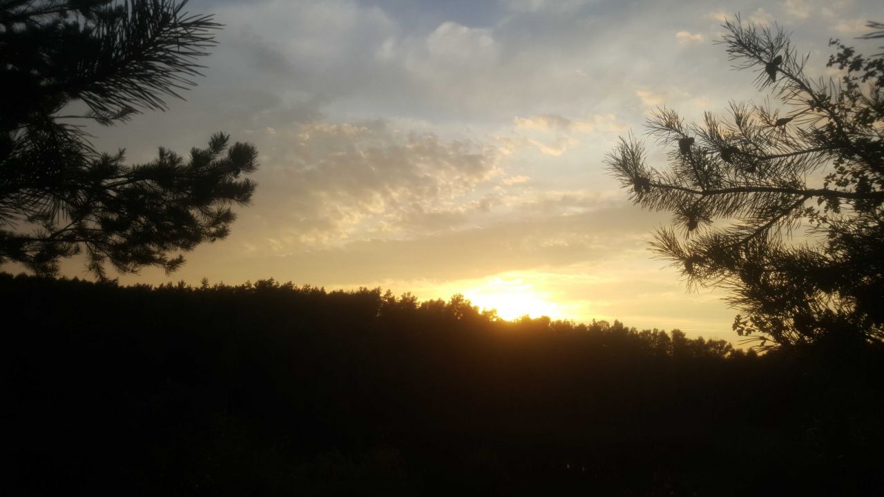 Działka rolna Uniemino. Zdjęcie 7