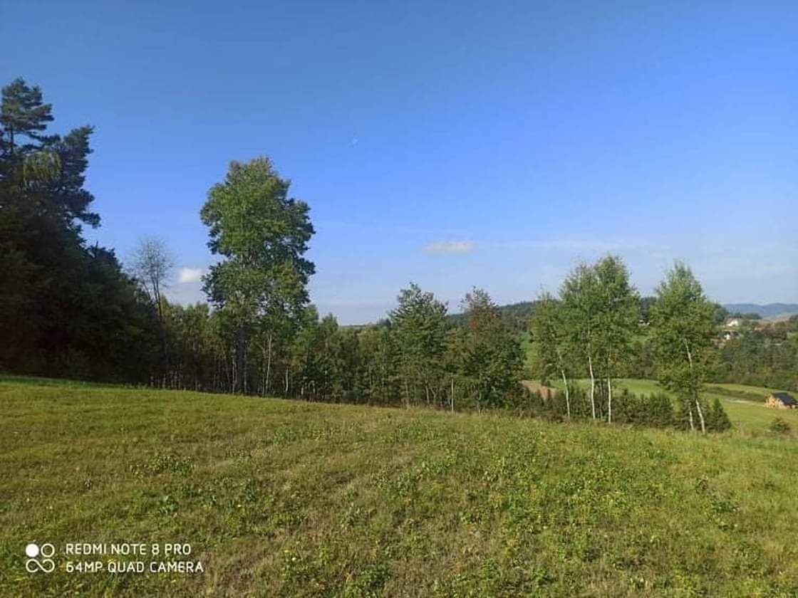 Działka rolna Berezka. Zdjęcie 3
